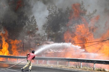 В Греции более 100 человек задержаны за поджоги лесов